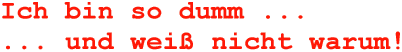 DummUser